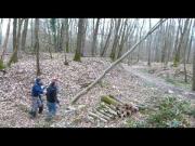 abattage arbre chemin d'Orléans à Dourdan