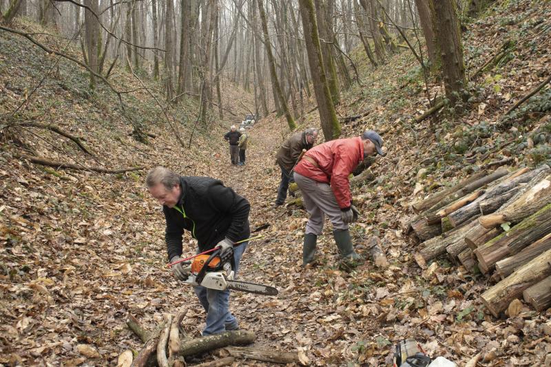 Pascal-Bonnet---Chantier-les-grands-fosses-9