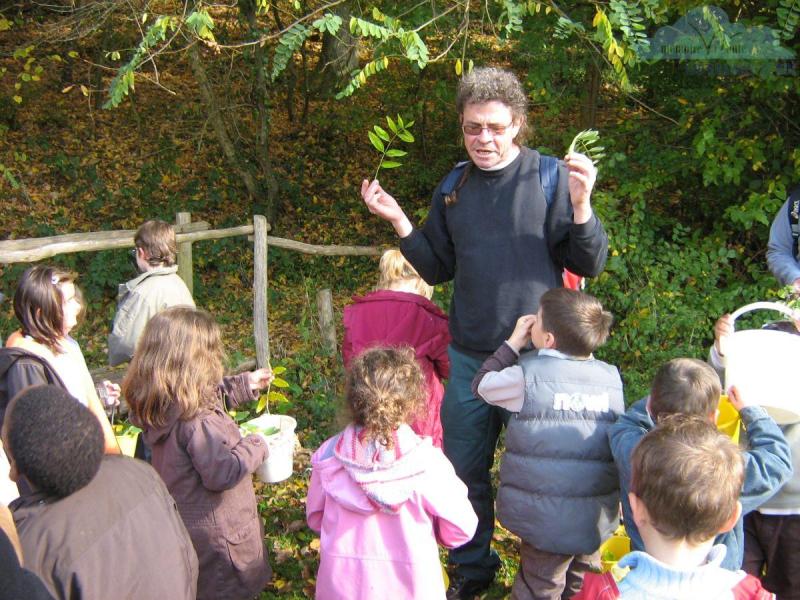 sortie-avec-Mr-fece-les-enfants-de-lecole-sur-le-chemin-a-la-decouverte-des-arbres