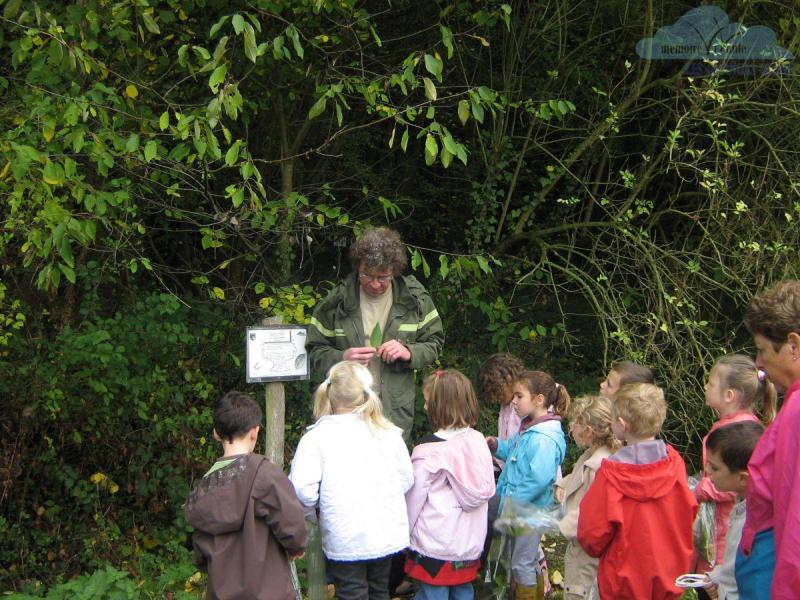 sortie-avec-Mr-fece-sur-le-chemin-a-la-decouverte-des-arbres